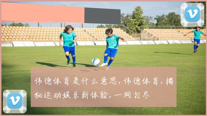 伟德体育是什么意思,伟德体育,揭秘运动娱乐新体验,一网打尽