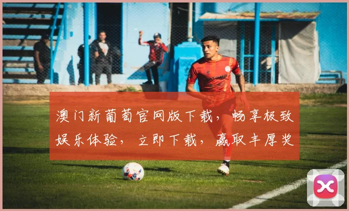 澳门新葡萄官网版下载，畅享极致娱乐体验，立即下载，赢取丰厚奖励，不容错过