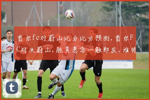 首尔fc对蔚山比分比分预测,首尔FC对决蔚山,胜负悬念一触即发,谁将笑到最后