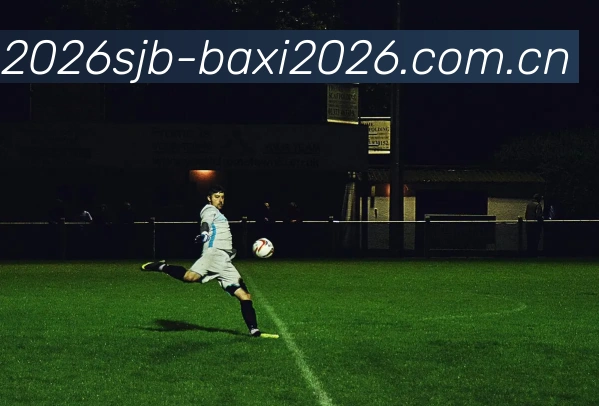 巴西世界杯2026阵容平台生态图